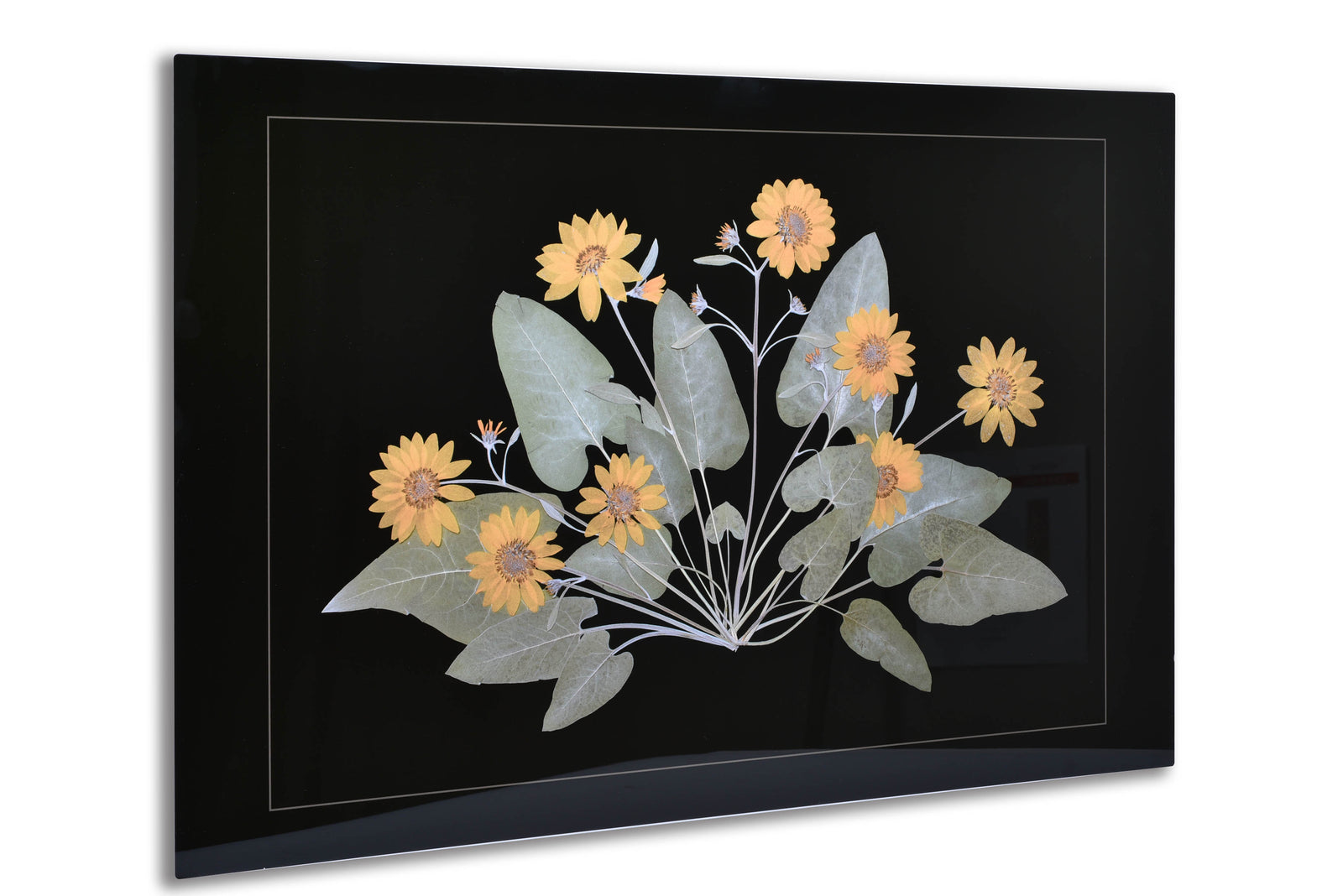 Metal Prints | Dye Sublimation