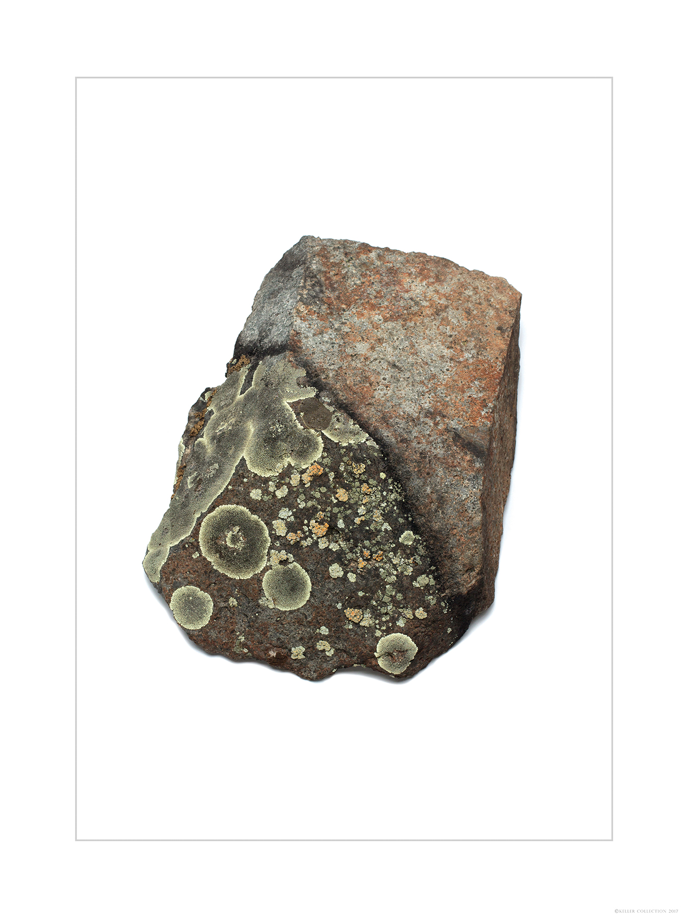 Lichen Rock